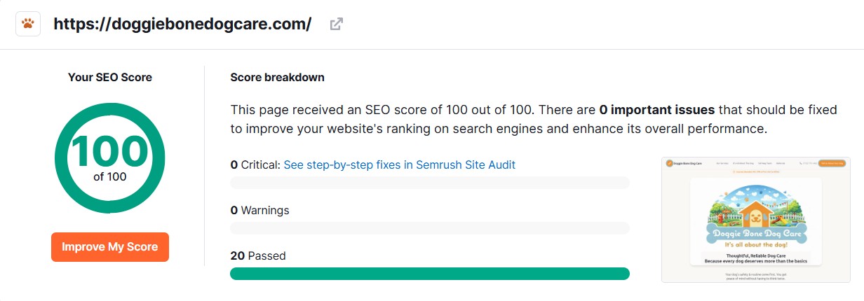 SEO audit report showing a score of 100 out of 100 for doggiebonedogcare.com